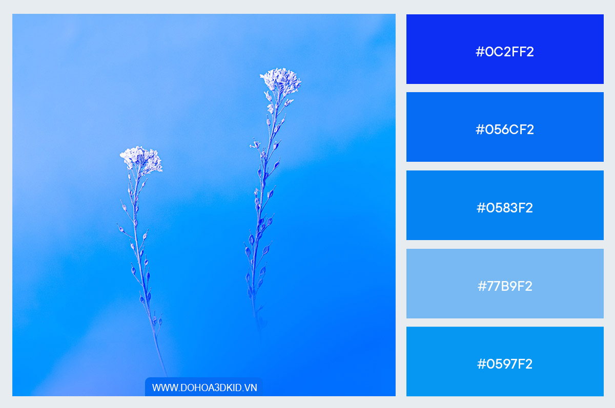 bang_mau_gradient_02