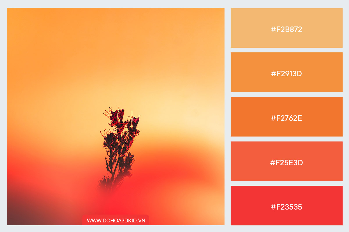 bang_mau_gradient_03