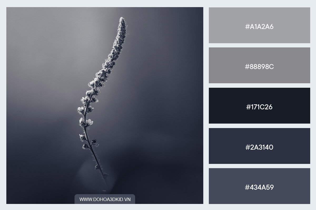 bang_mau_gradient_07