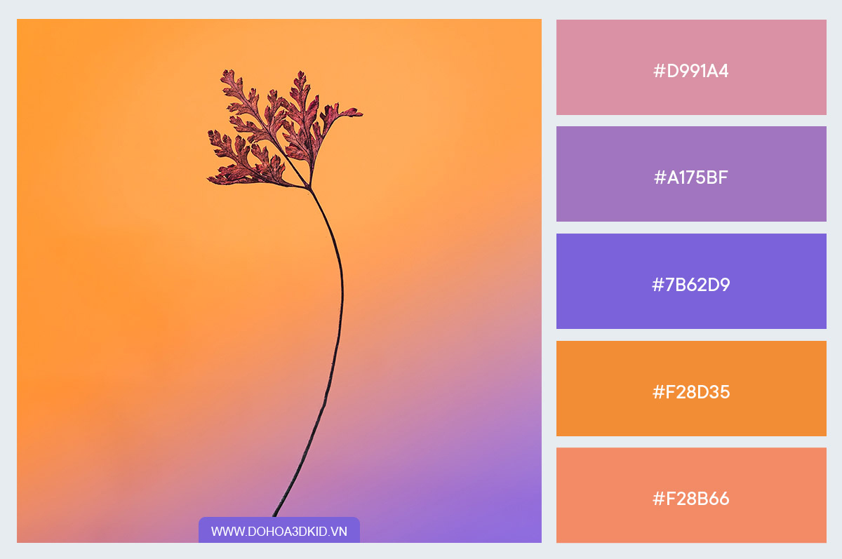 bang_mau_gradient_08