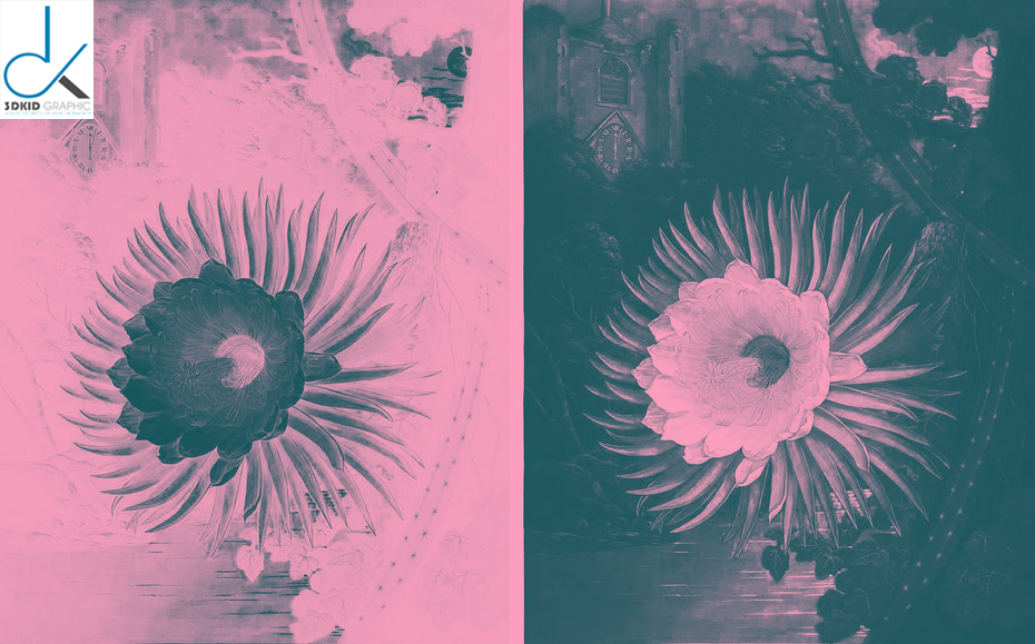 hieu-ung-duotone-3dkid-6