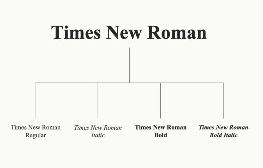 hoc-illustrator-tphcm