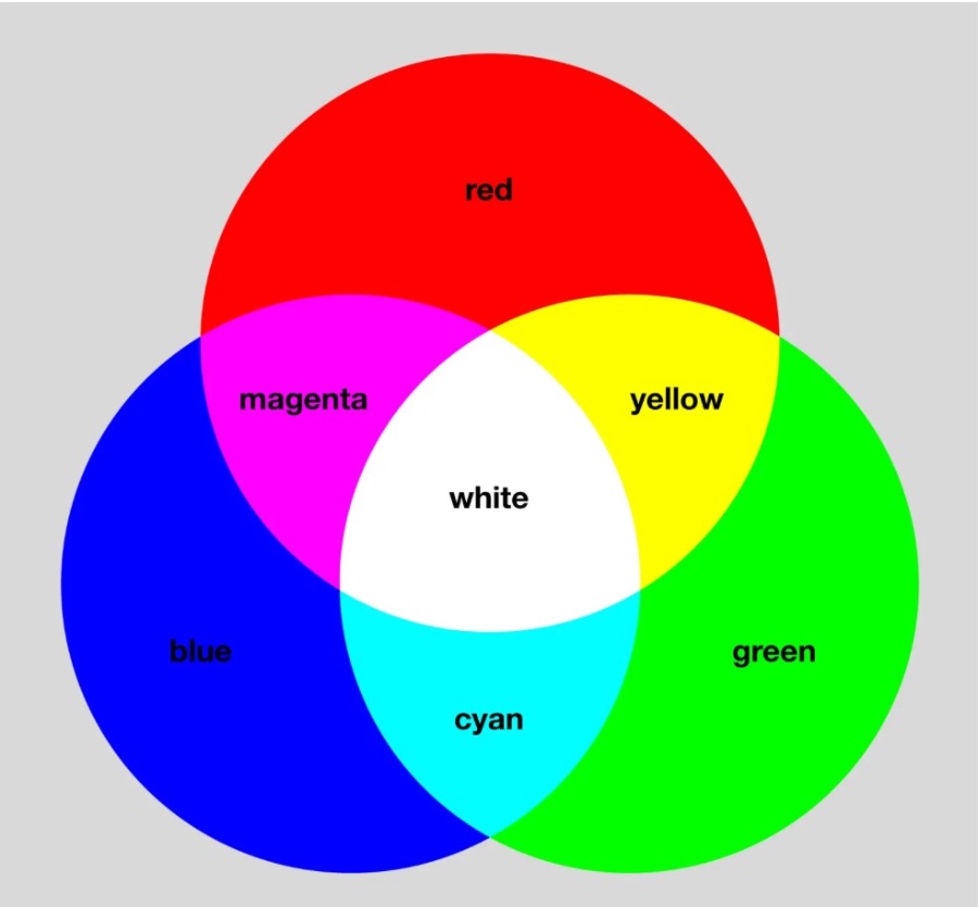 hoc-illustrator-tphcm