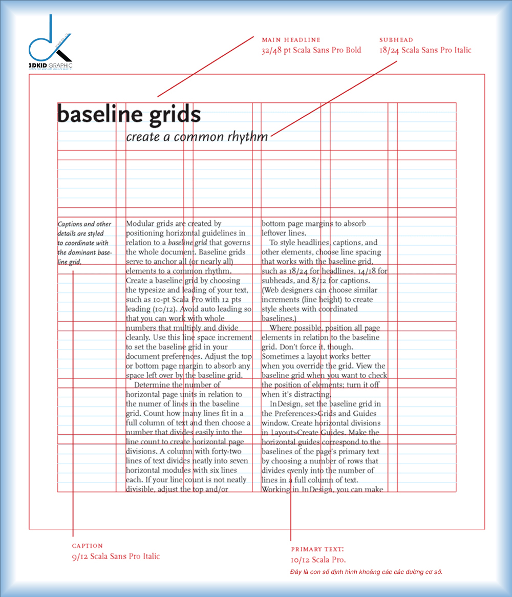 /luoi-duong-co-so-3dkid