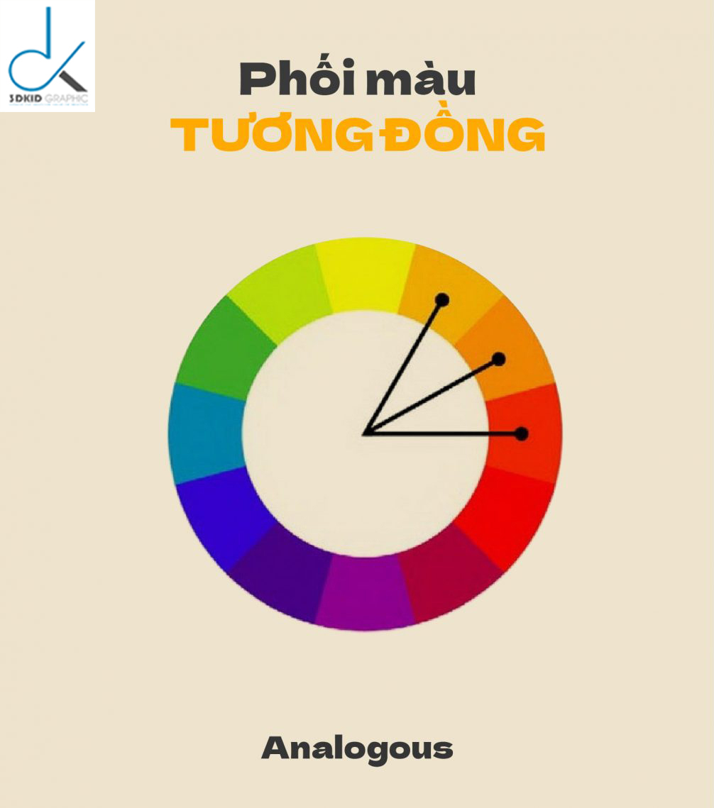 mau-sac-thiet-ke-3dkid-9