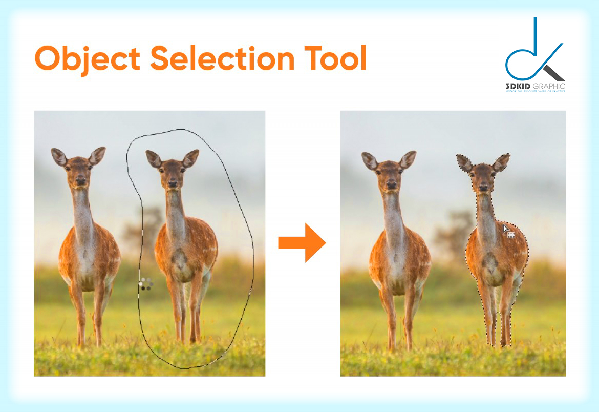 object-selection-tool-do-hoa-3dkid