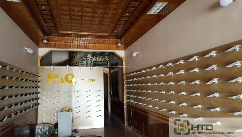 trưng bày giày thể thao