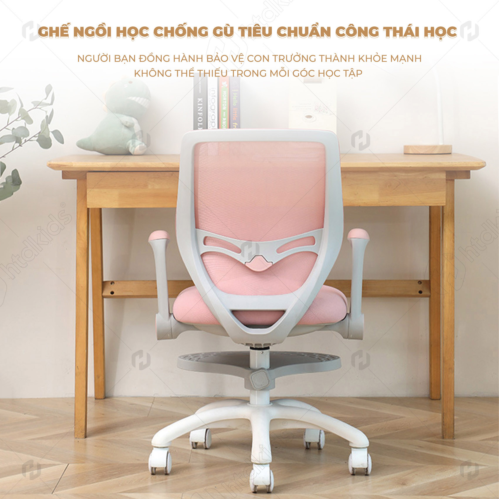 Ghế chống gù CM801