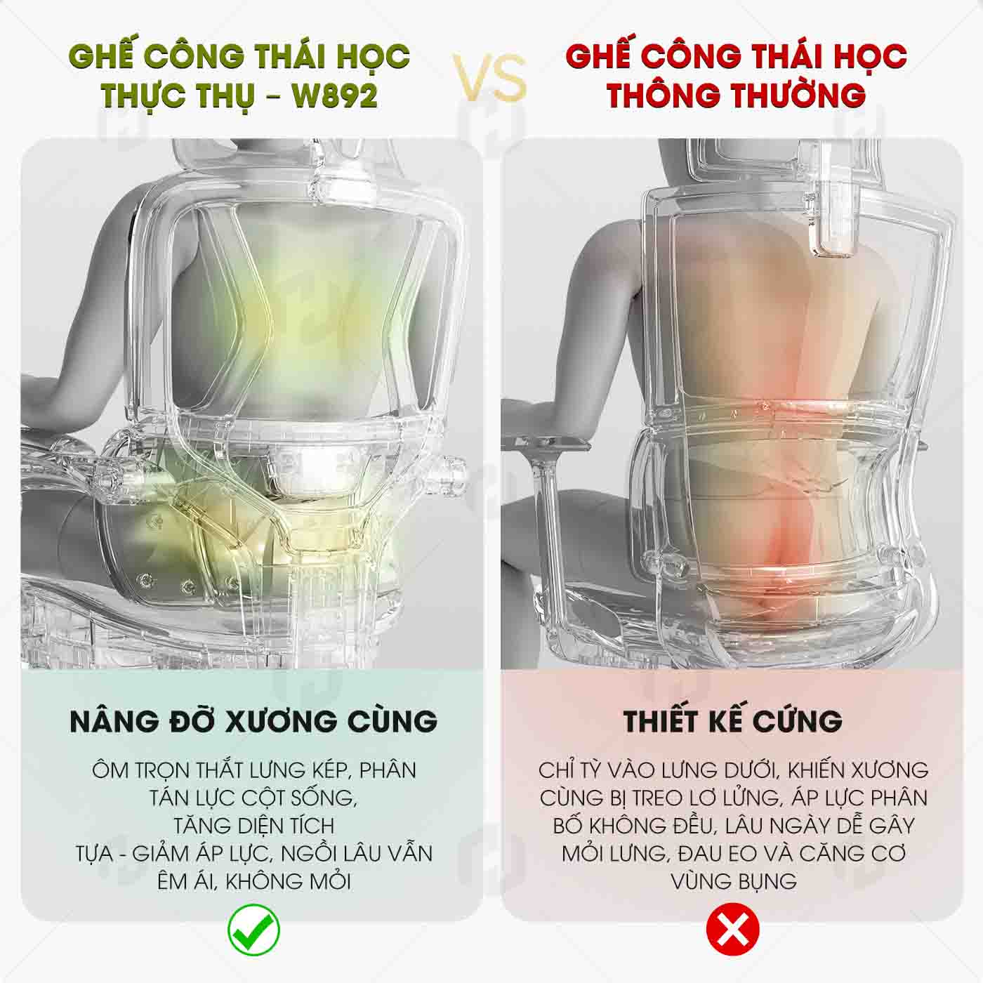 Ghế Công Thái Học HTD-W892