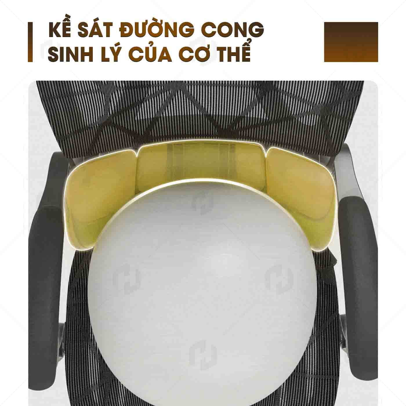 Ghế Công Thái Học HTD-W892