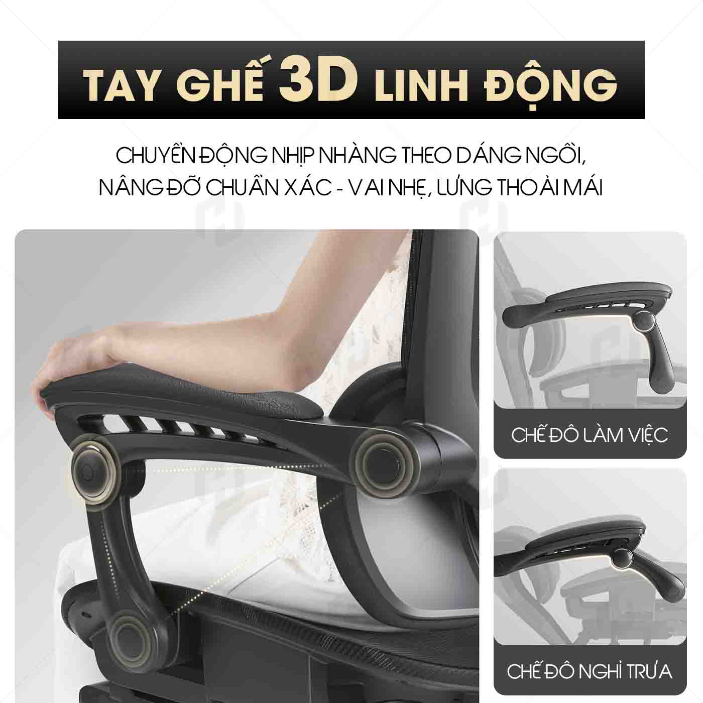 Ghế Công Thái Học HTD-W892