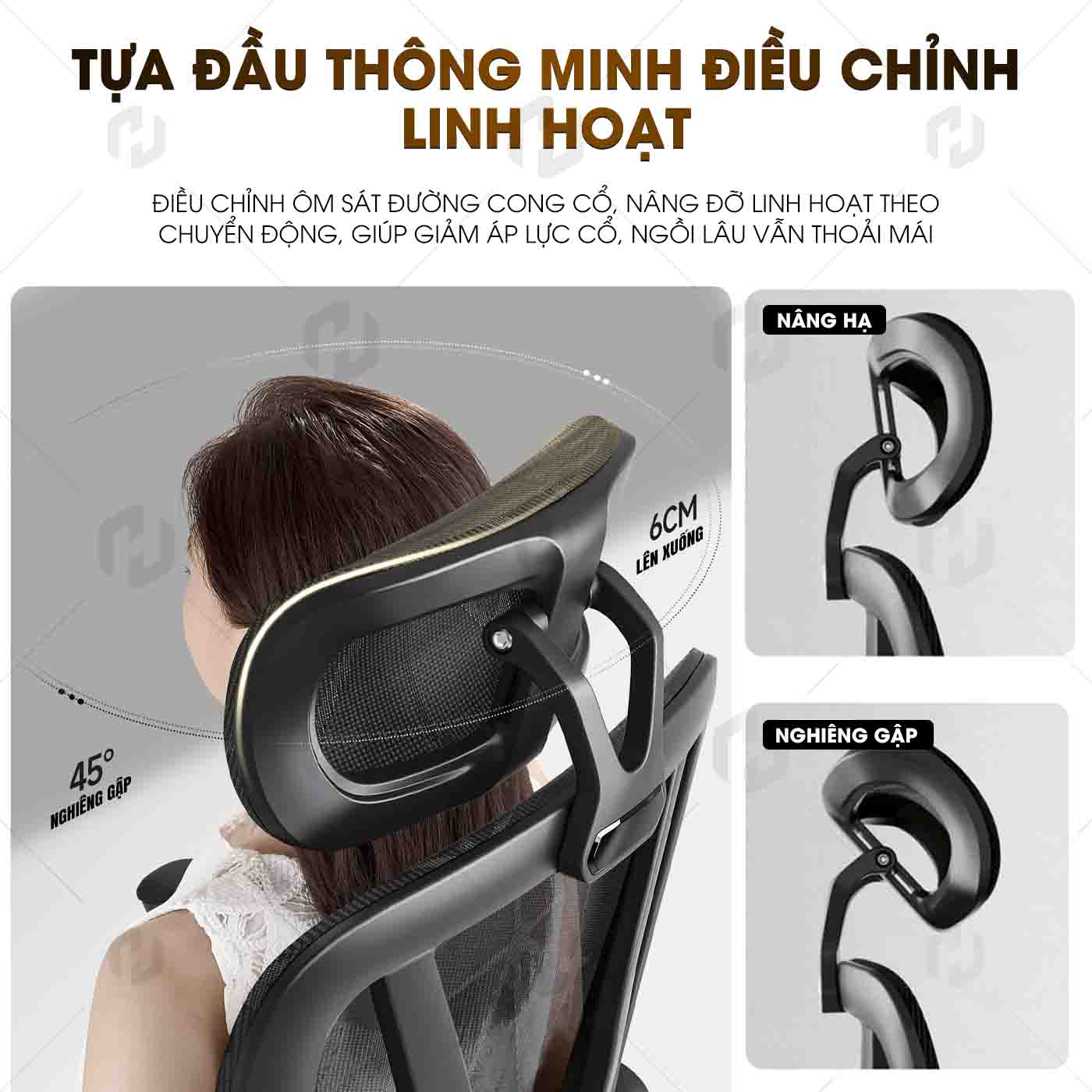 Ghế Công Thái Học HTD-W892