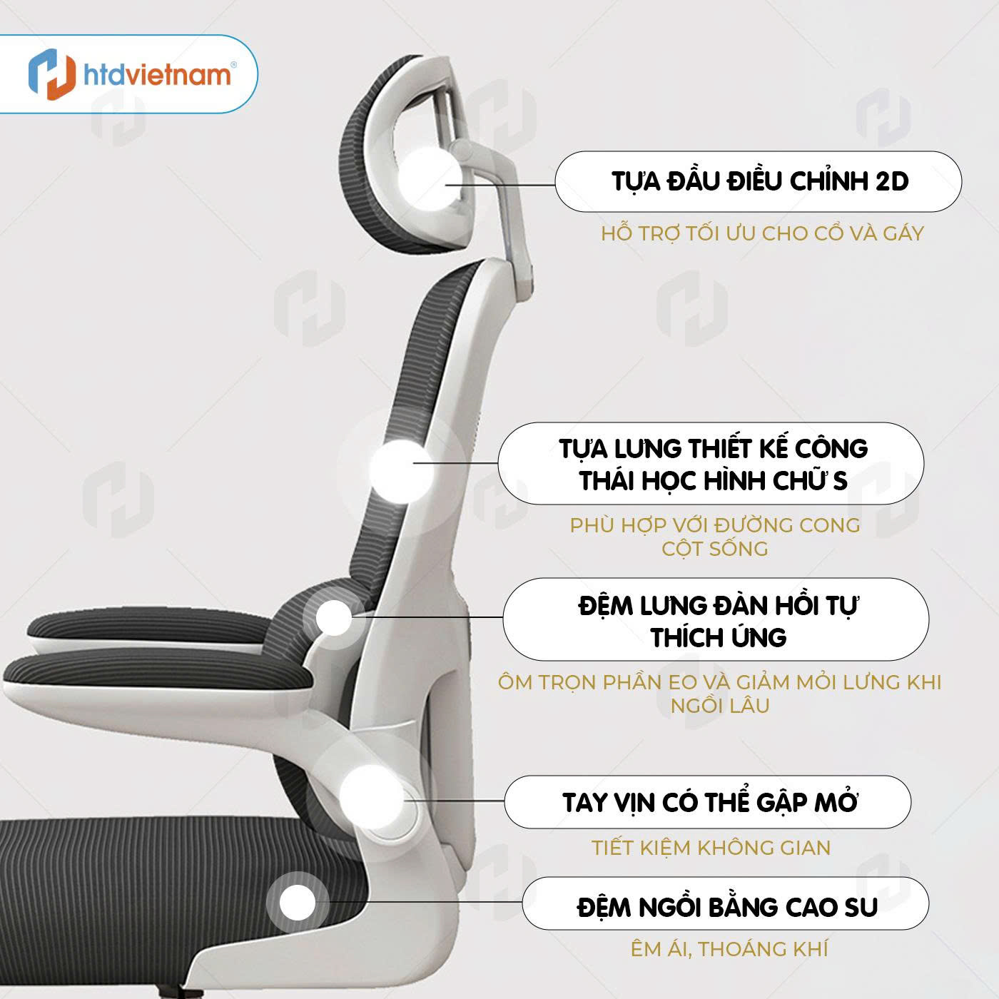 Ghế công thái học S1