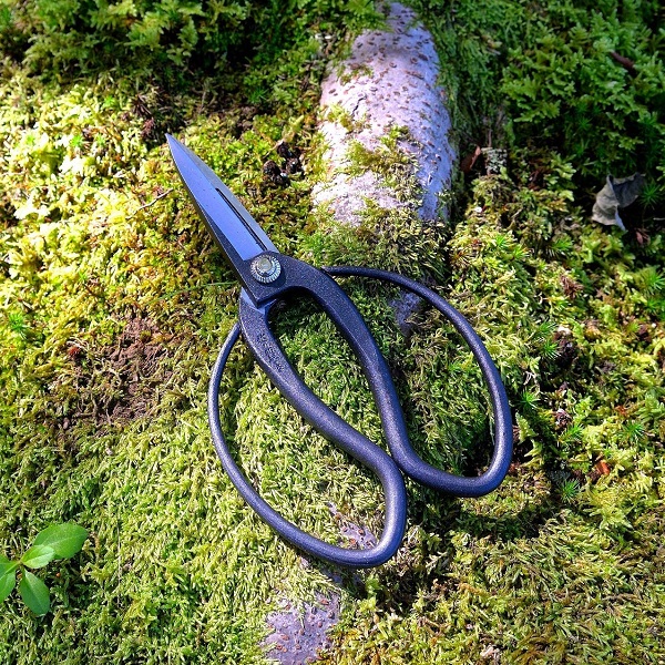 Kéo tỉa nhăm, coog cụ vườn cây cảnh, Kakuri Japan