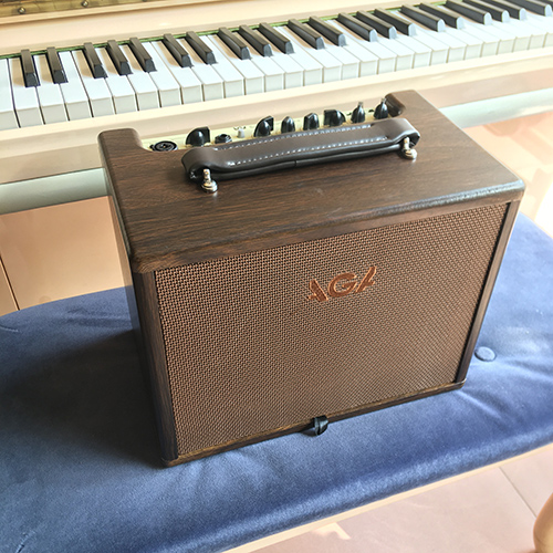 Ampli Guitar AGA SC40