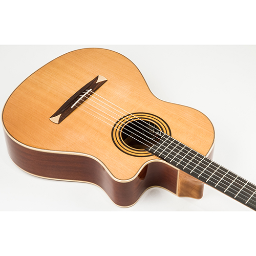 Đàn Guitar Classic Alhambra CS1 CW E8