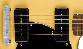 FENDER-DESIGNED ALNICO PICKUPS