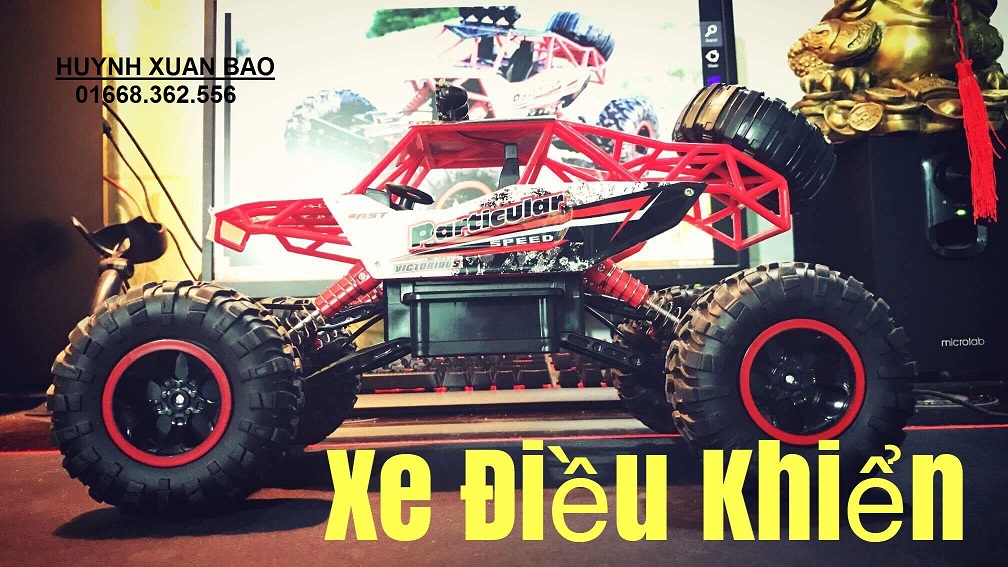 Xe Điều Khiển Loại Lớn