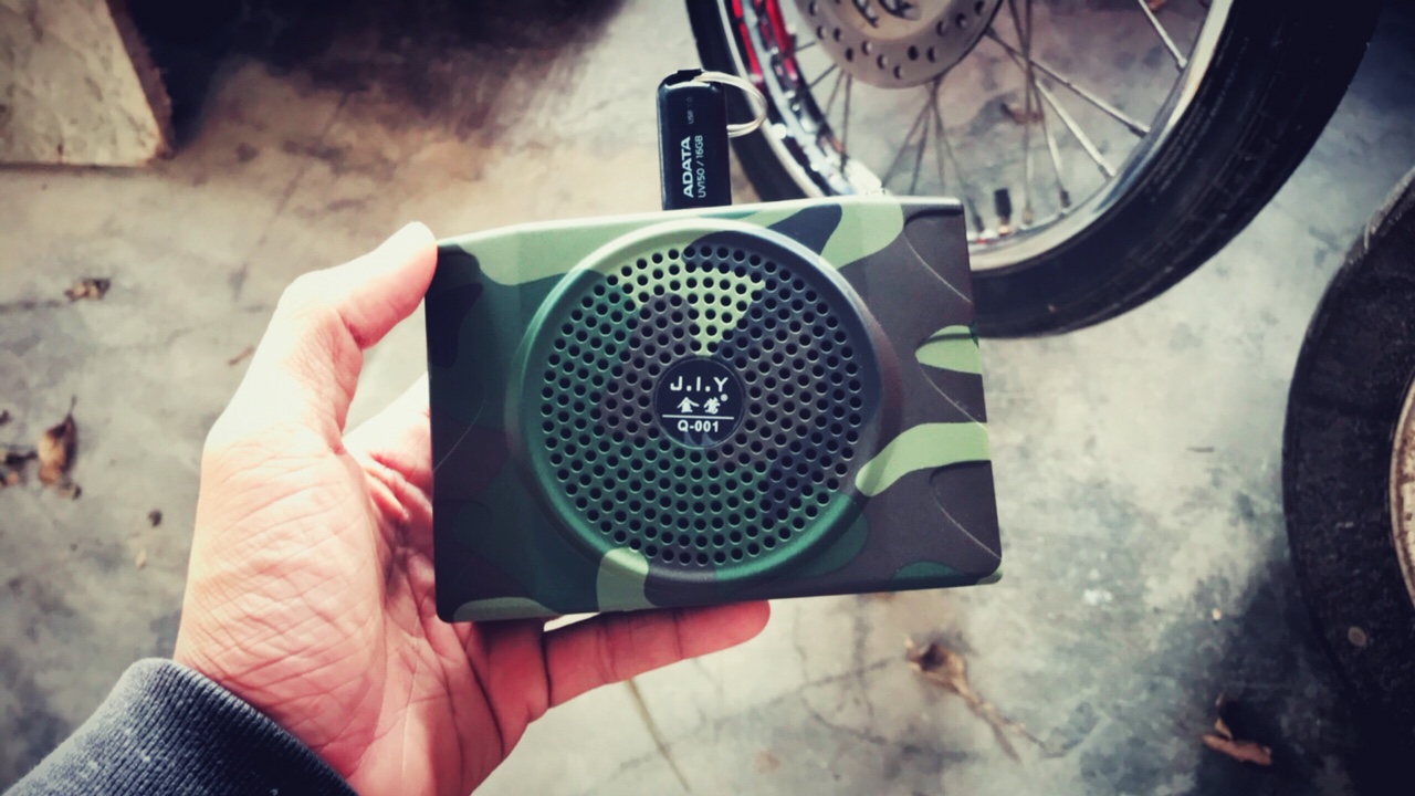 LOA BẪY CHIM Q 001