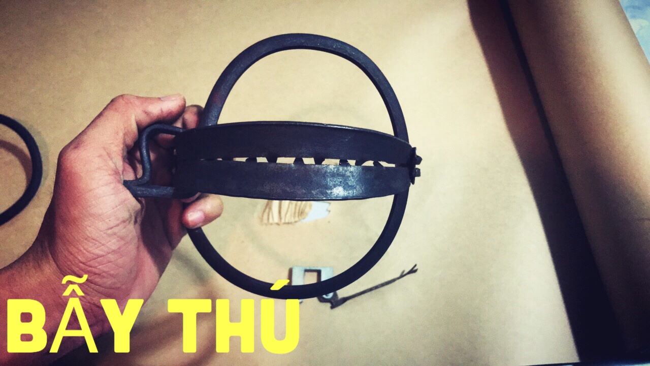 BẪY THÚ RỪNG