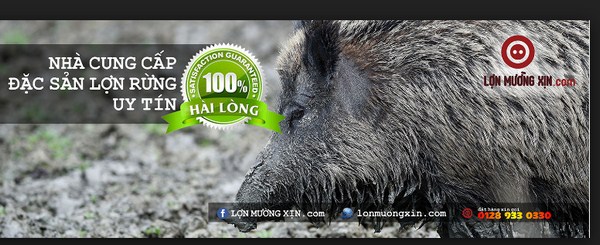 Lợn Mường xịn cung cấp sản phẩm đạt an toàn chất lượng cho mọi nhà