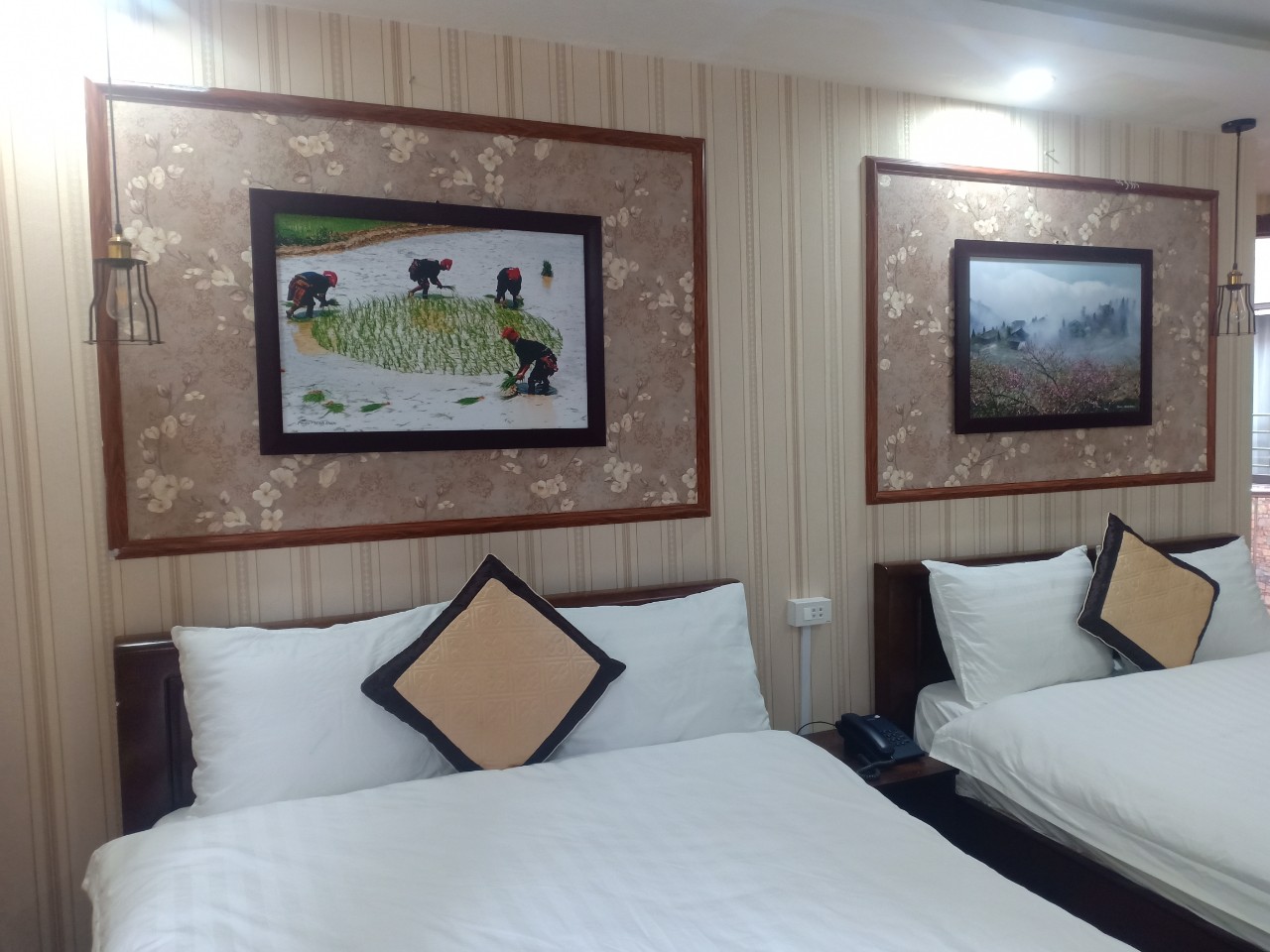 thi công giấy dán tường khách sạn tại Sapa Lào Cai