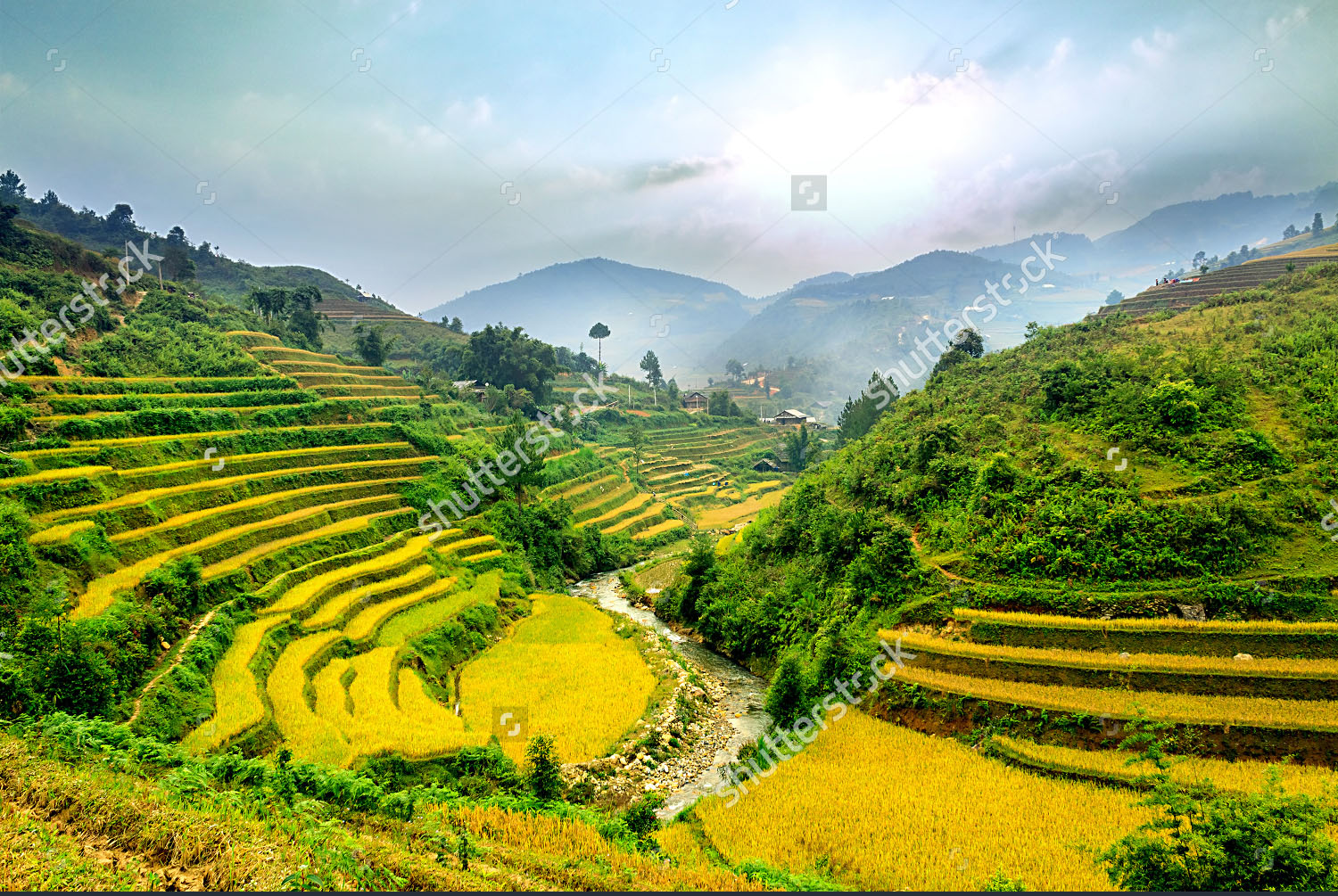 tranh-dan-tuong-phong-canh-ruong-bac-thang-lao-cai-sapa