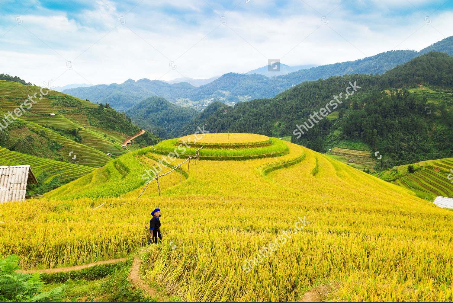 tranh-ruong-bac-thang-lao-cai-sapa-2
