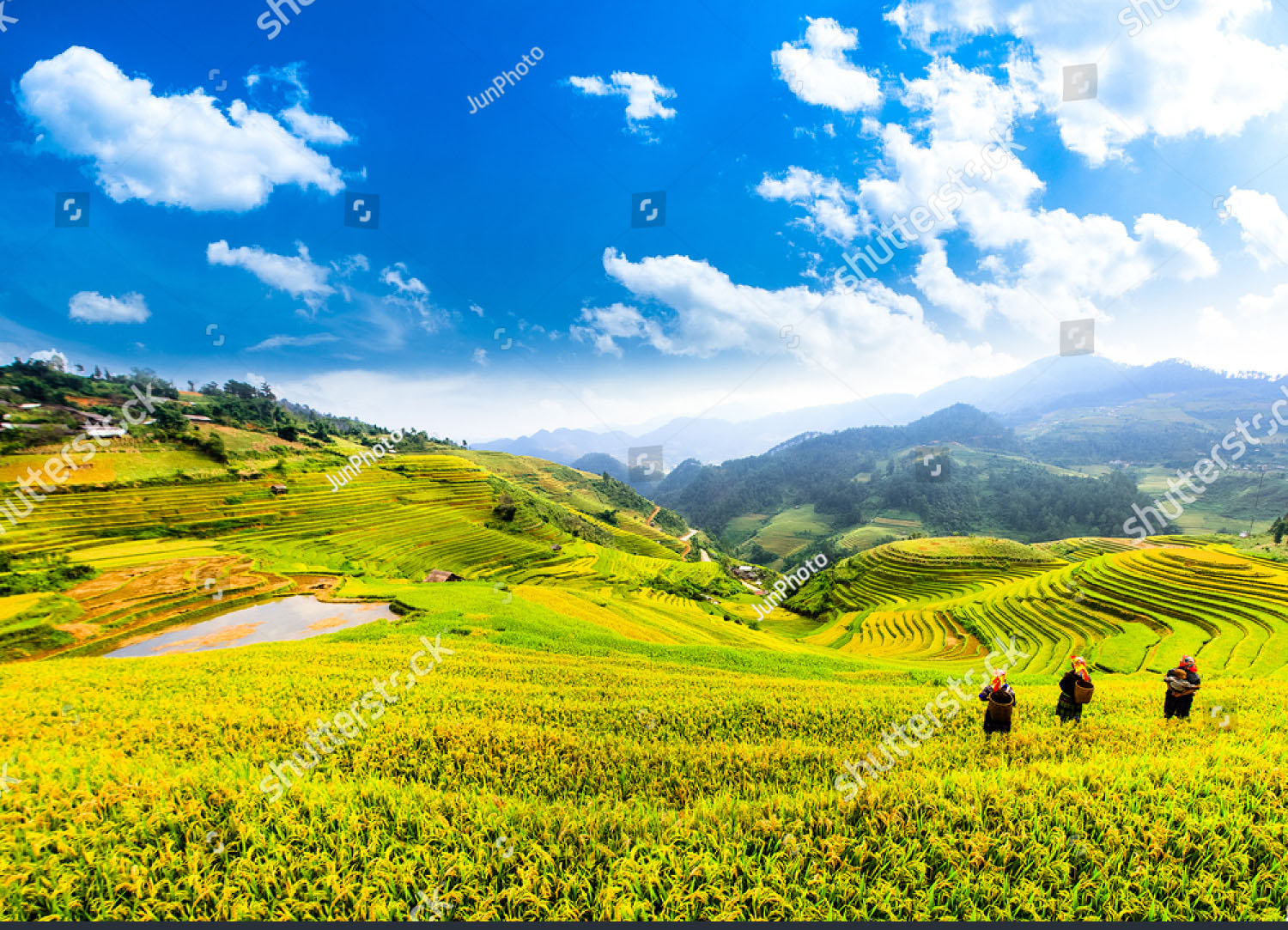 tranh-ruong-bac-thang-lao-cai-sapa-3