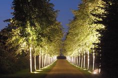 ĐÈN LED ÂM ĐẤT ÂM SÀN HÀNG CÂY