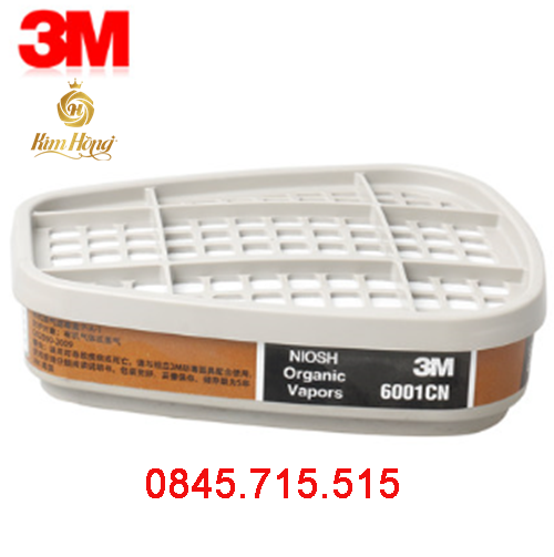 PHIN LỌC 3M 6001