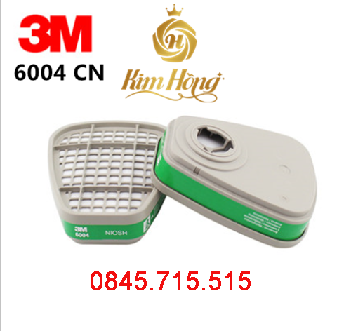PHIN LỌC 3M 6004
