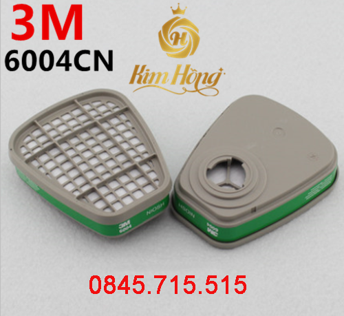 PHIN LỌC 3M 6004