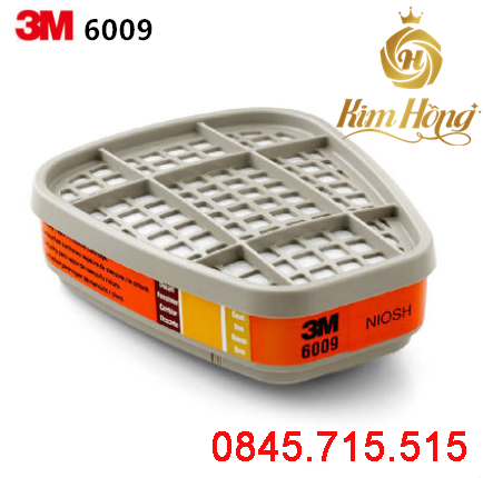 PHIN LỌC 3M 6009