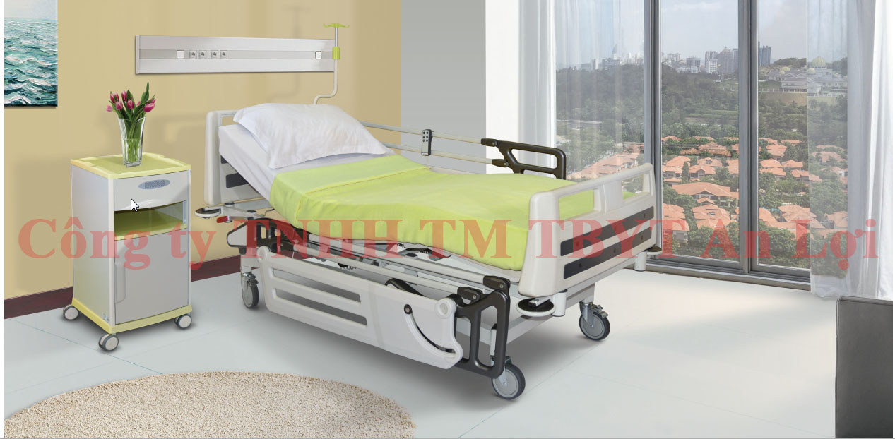 GIƯỜNG ĐIỆN ĐA NĂNG General 25000 ECl