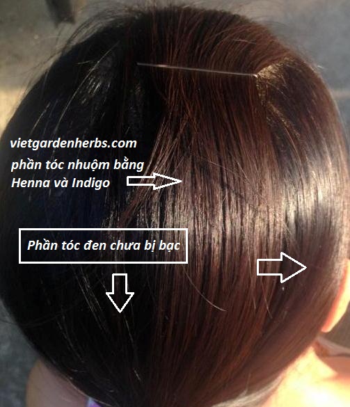 nhuộm tóc không hóa chất, nhuộm tóc tự nhiên bằng bột lá henna và indigo