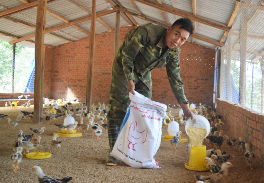 cach tri benh thuong han o ga