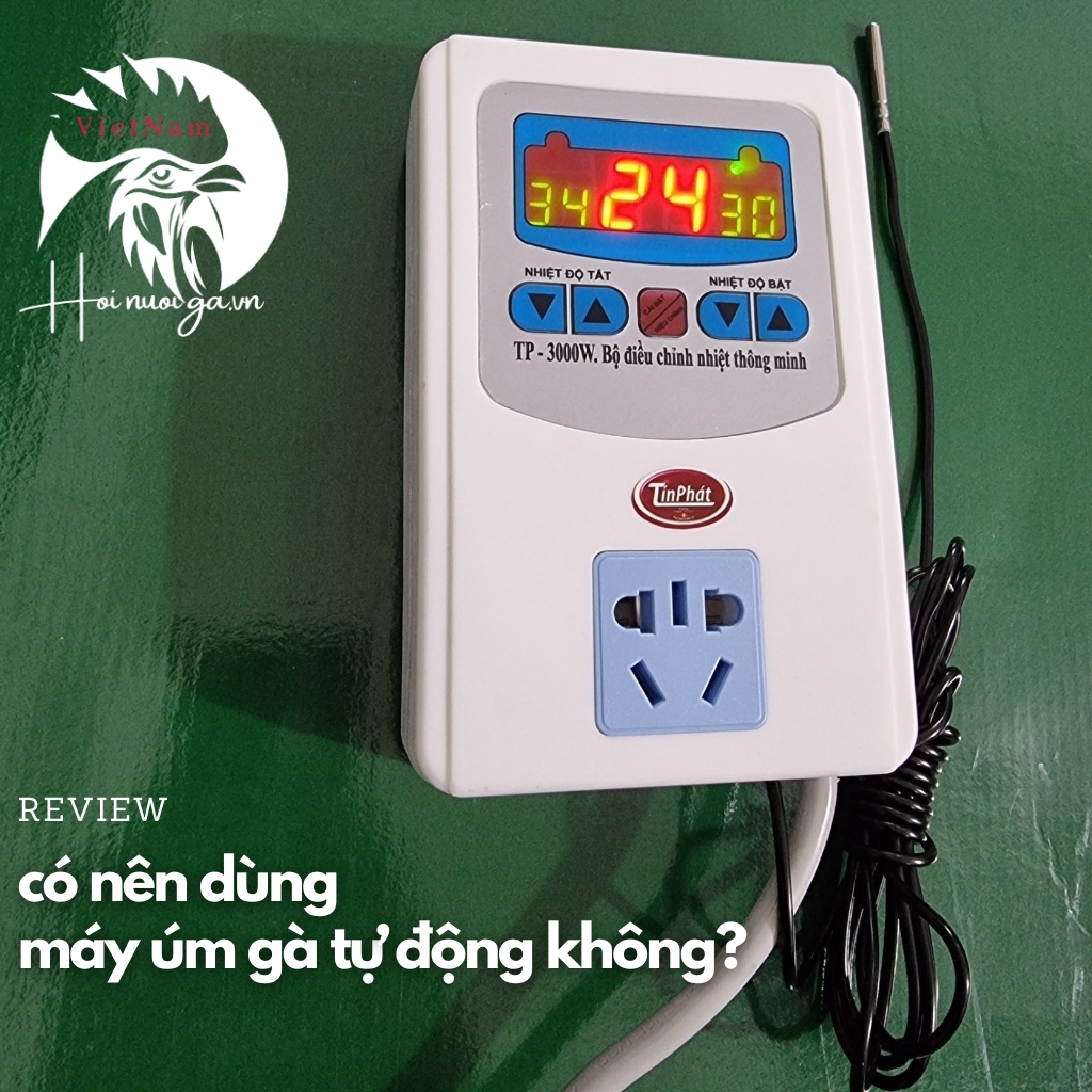 có nên sử dụng máy úm gà tự động