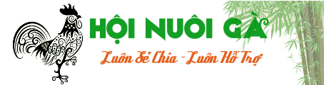 Logo hoinuoiga.vn