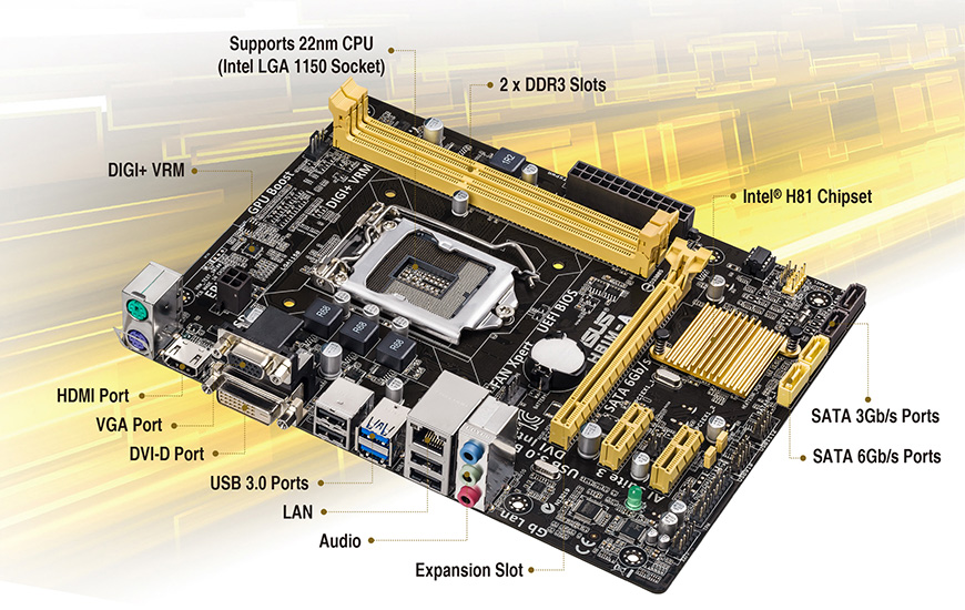 ASUS H81M A