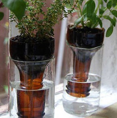 meo-cat-chai-thuy-tinh-don-gian