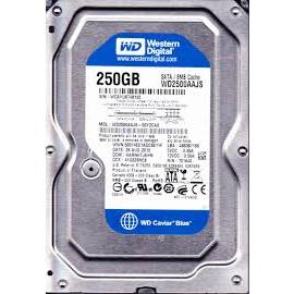 Ổ cứng máy bàn WD250 GB