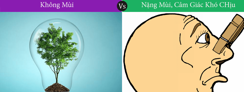 miếng lót sàn ô tô không mùi