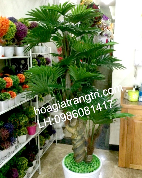 Cây cọ giả trang trí nội thất mang ý nghĩa phong thủy tốt cho gia chủ