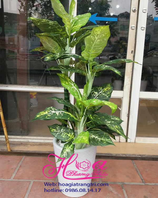 Cây Ngân Hà giả đẹp, trang trí phòng khách và văn phòng – Hoa lụa Phương Thảo