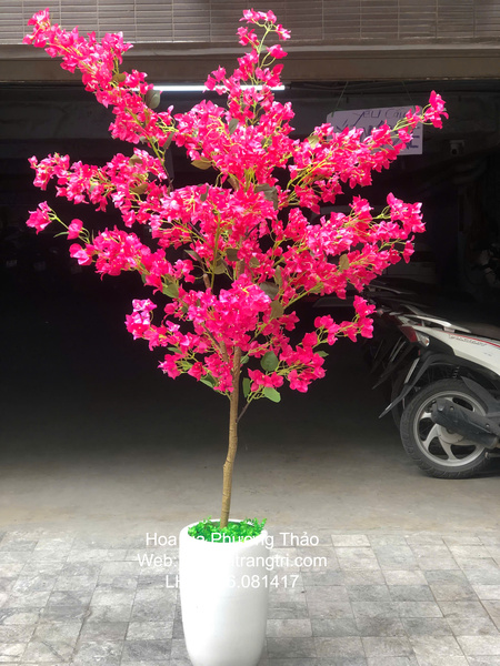 cây hoa giấy giả trang trí phòng khách đẹp