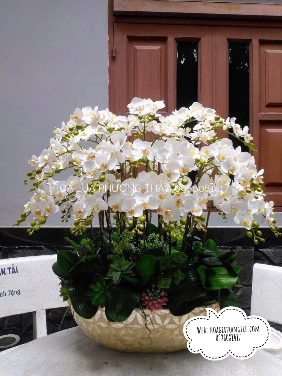 Chậu lan hồ điệp  giả