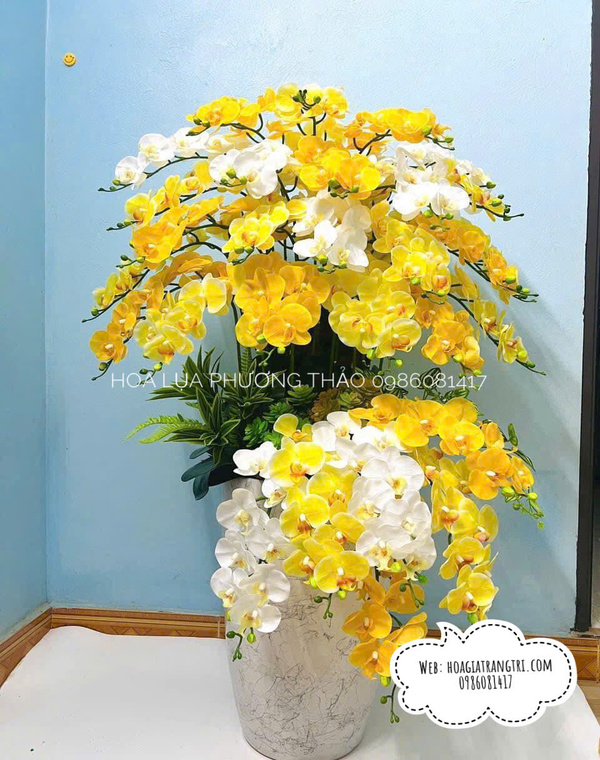 Chậu lan hồ điệp cao su cao cấp