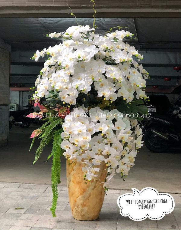 Chậu lan hồ điệp giả cao cấp
