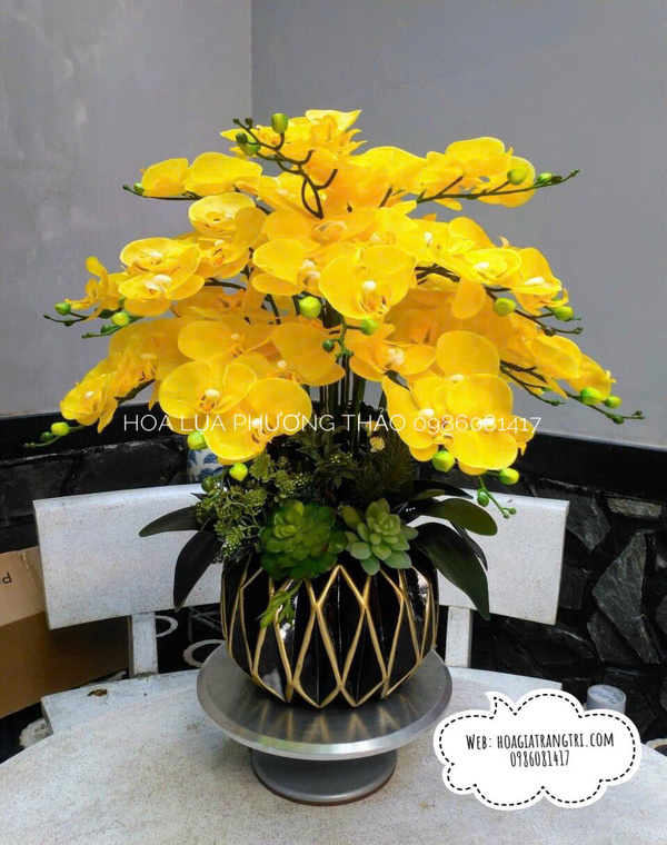 Chậu lan giả cao cấp